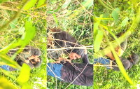 Famous Mallu Cpl BLowjob and Fucking OutDoor
