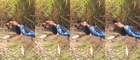 Desi Lover Outdoor Fucking Caught